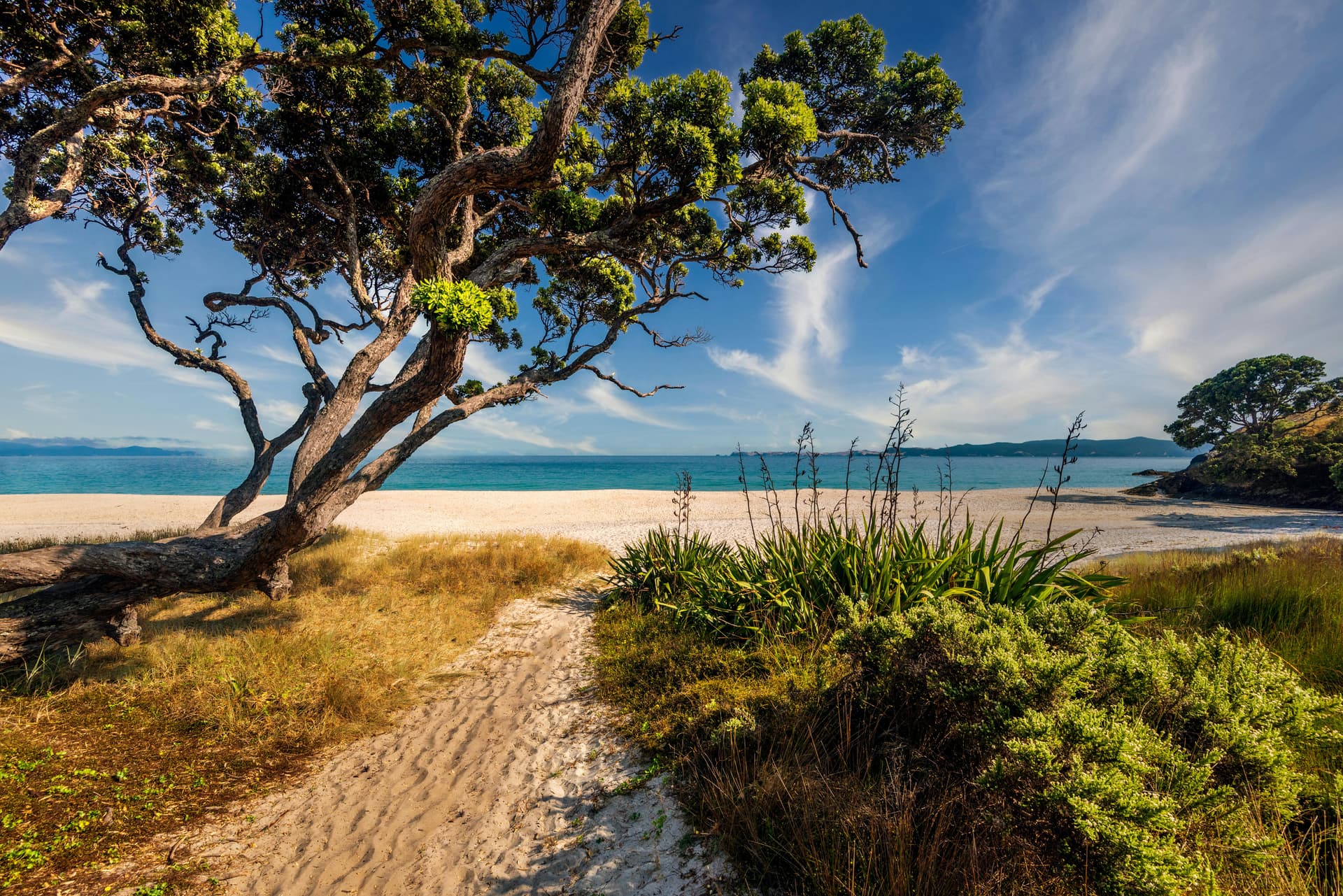 New Zealand Exploring – Da Nord a Sud on the Road Sef-Drive