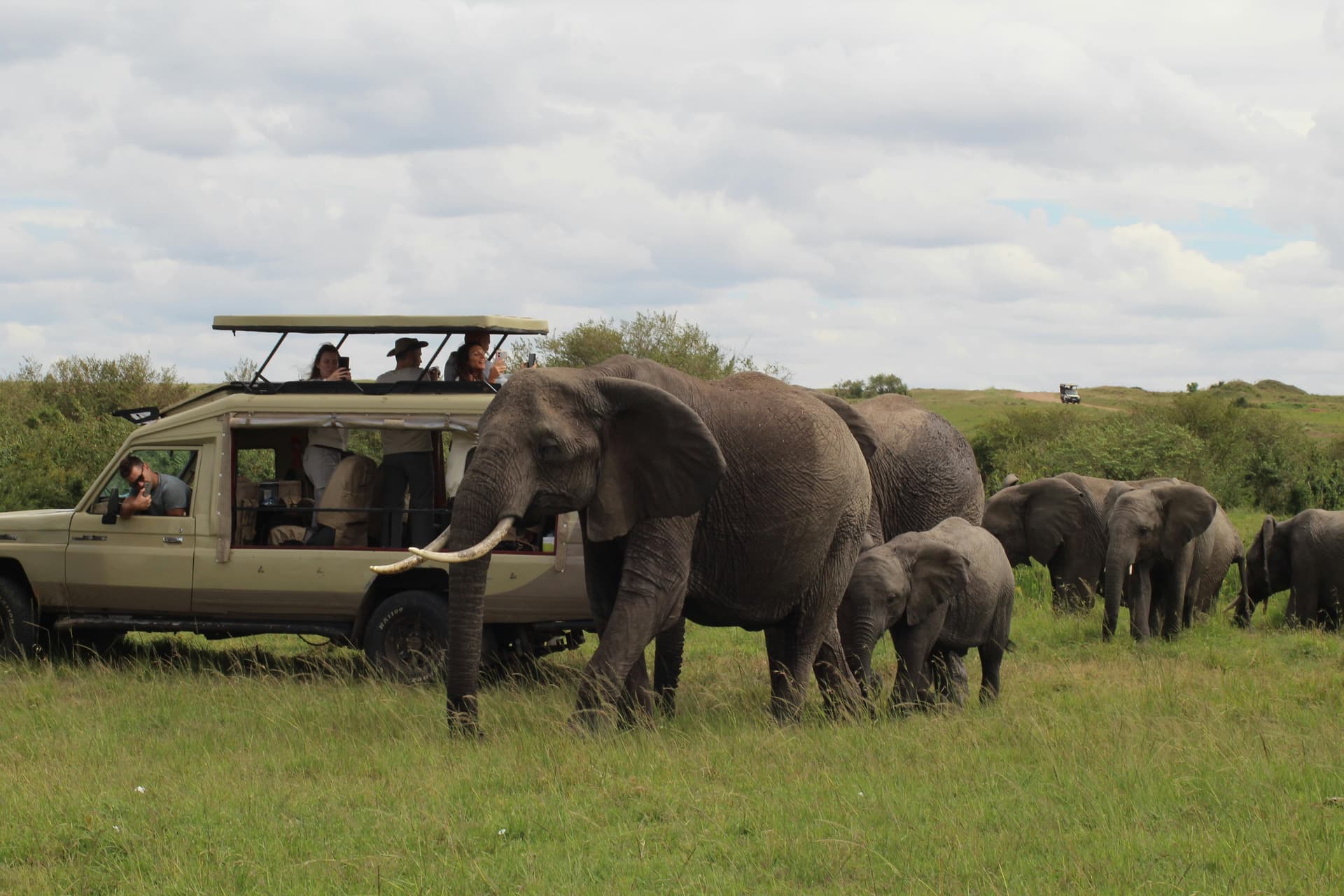 Sudafrica e Zanzibar: Lusso, Safari e Spiagge Paradisiache