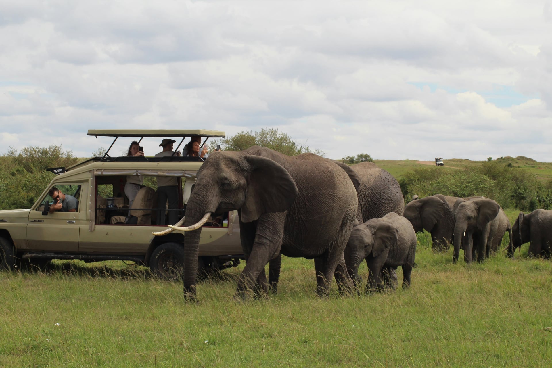 Sudafrica: Cape Town, Safari e Kruger, l'avventura perfetta